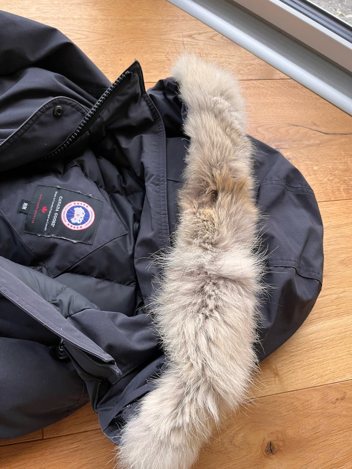 Frakke, str. 38, Canada Goose