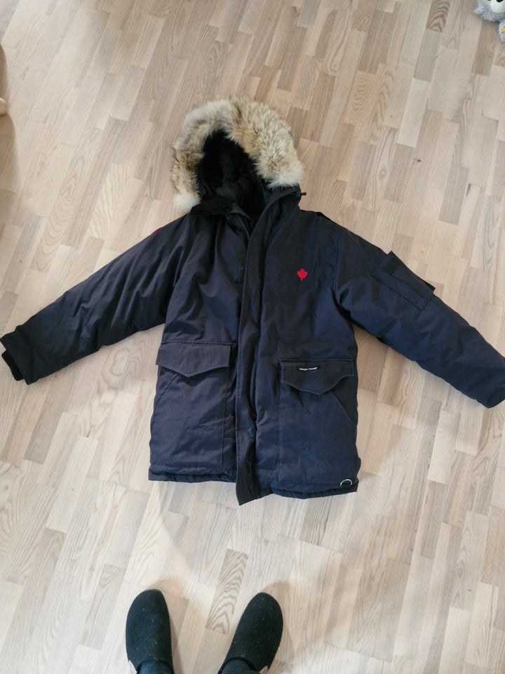 Vinterjakke, str. L, Canada goose