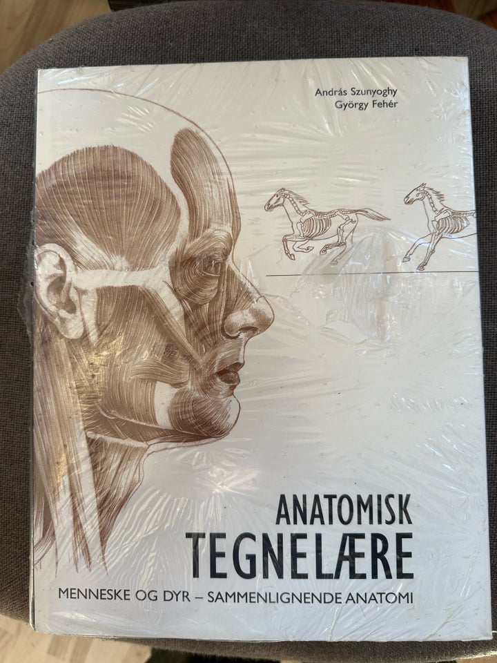 Anatomisk tegnelære, emne: