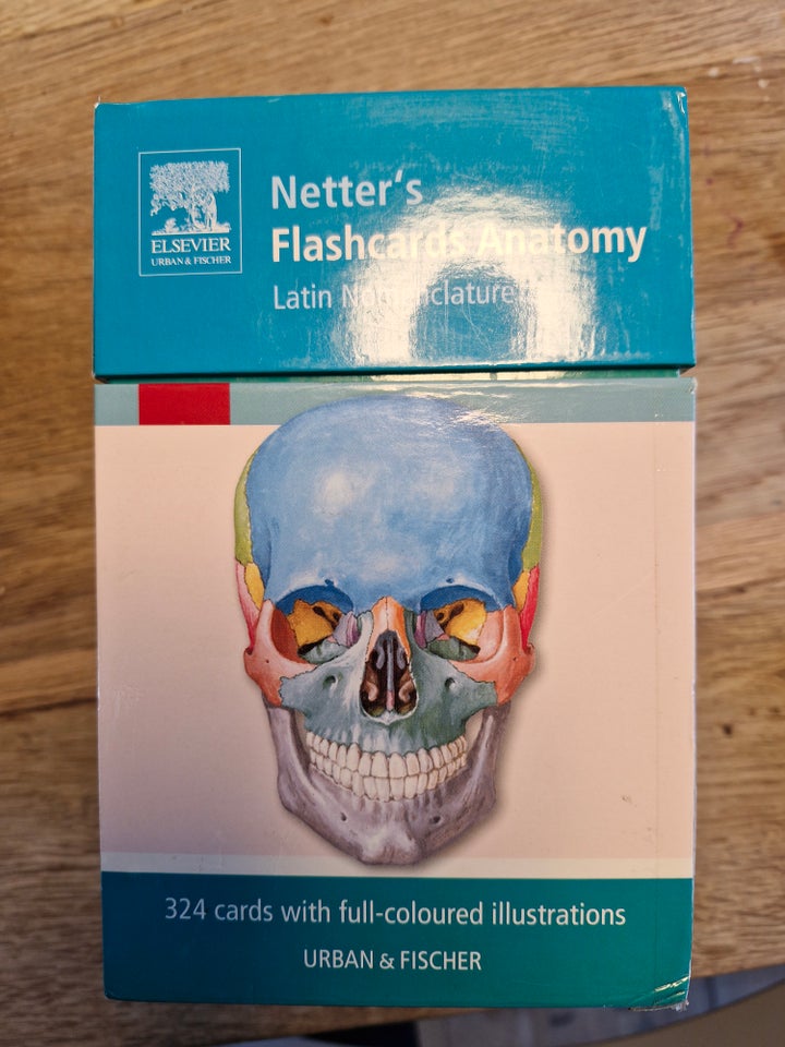 Netter's flashcards anatomy,