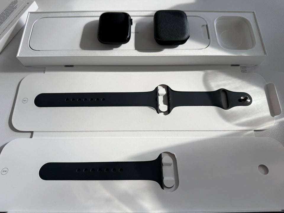 Smartwatch, Apple