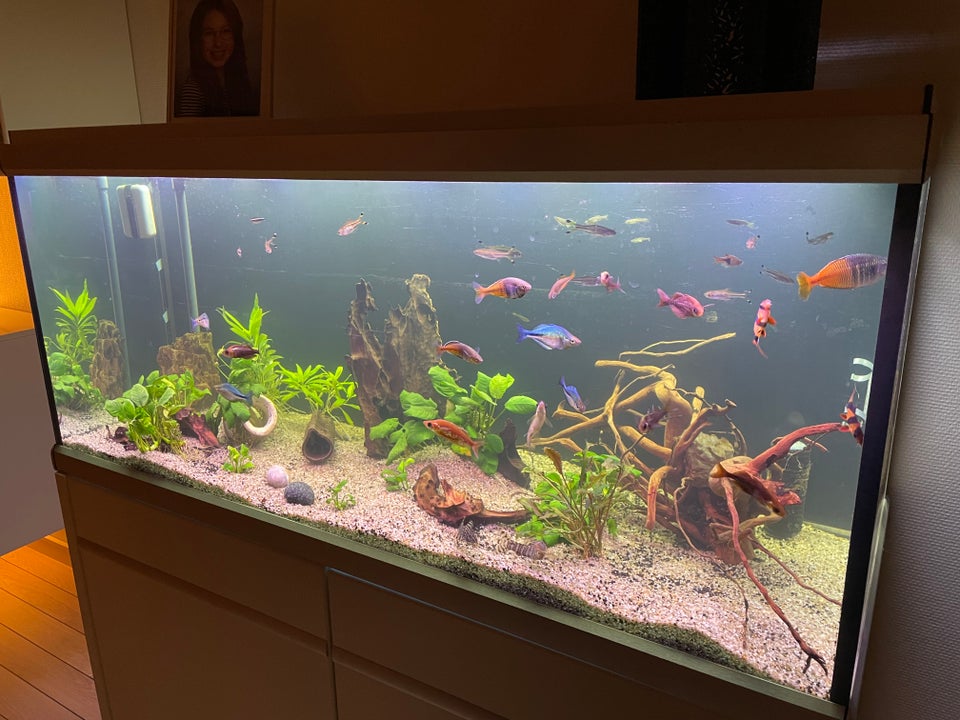 Akvarium 360 liter b: 130 d: 50 h: