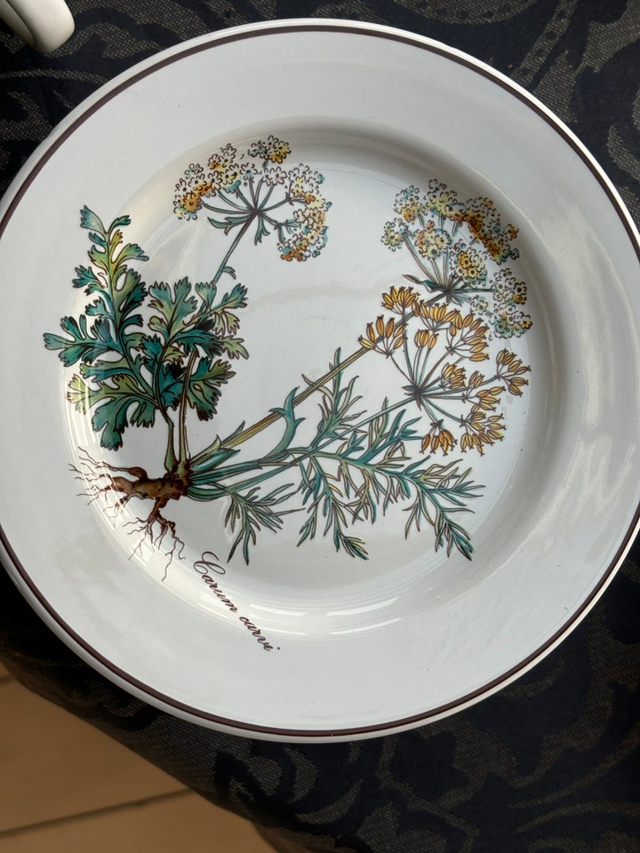 Porcelæn Middagstallerk tekop