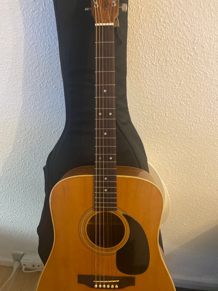 Western guitar Ibanez