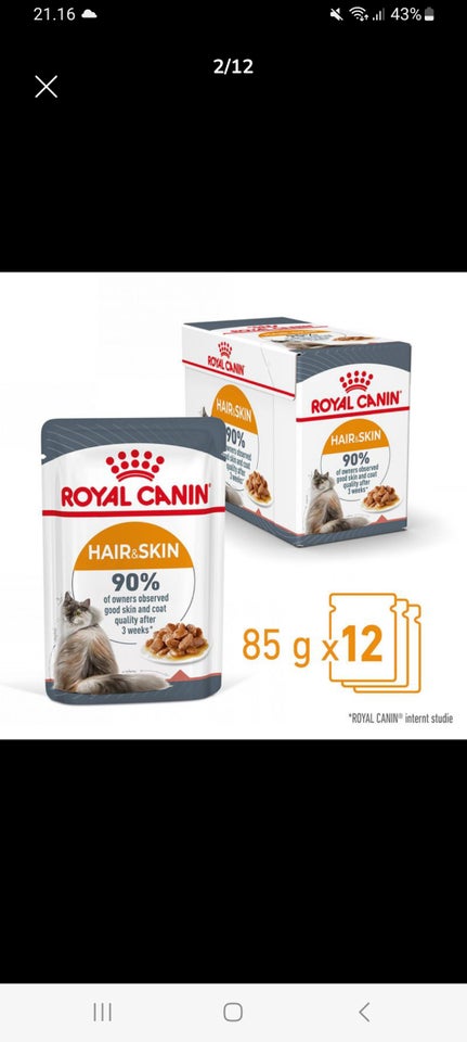 Kattefoder Royal Canin