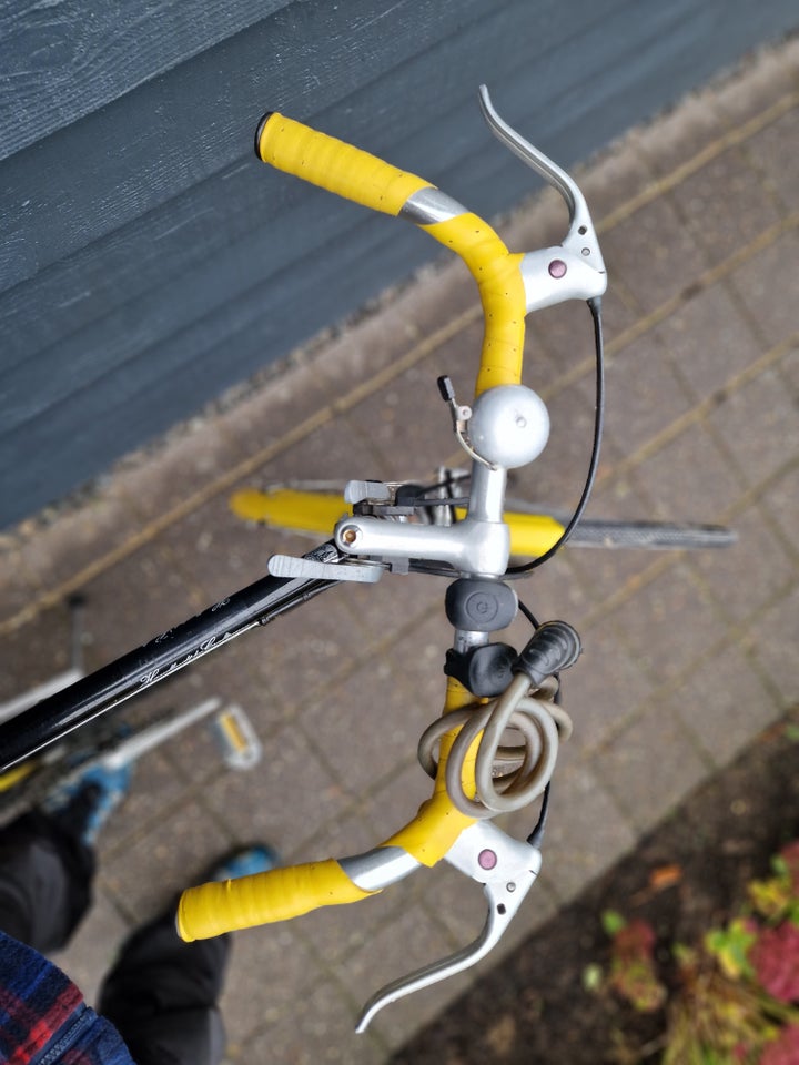 Herrecykel, Raleigh, 60 cm stel