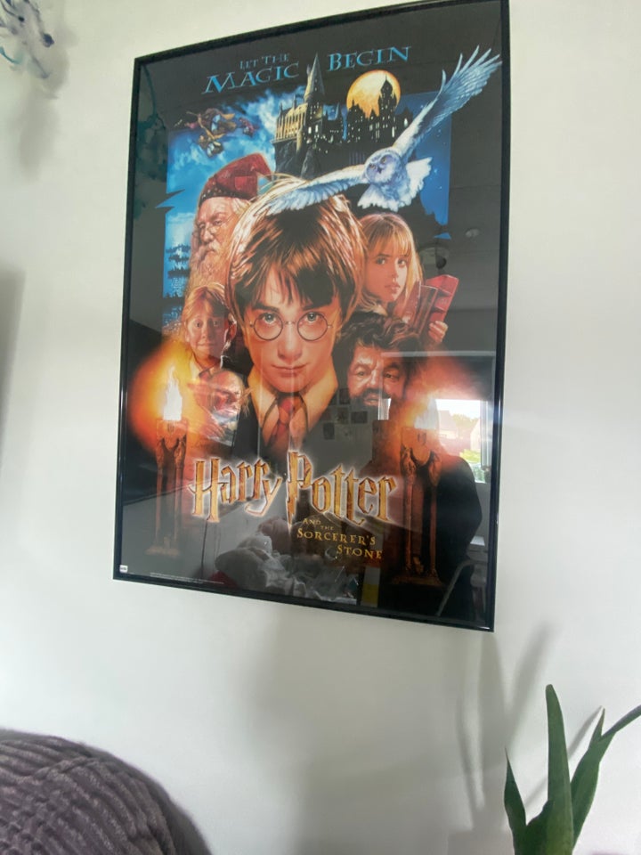 Plakat Harry Potter motiv: Harry