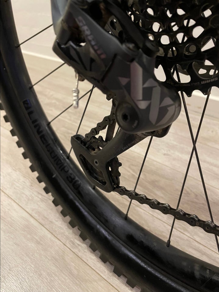 Trek Rail 98 XX1 full suspension