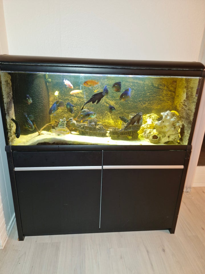 Akvarium 360 liter b: 130 d: 49 h: