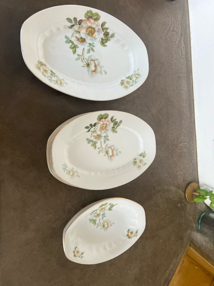 Porcelæn Spisestel  CT Altwasser