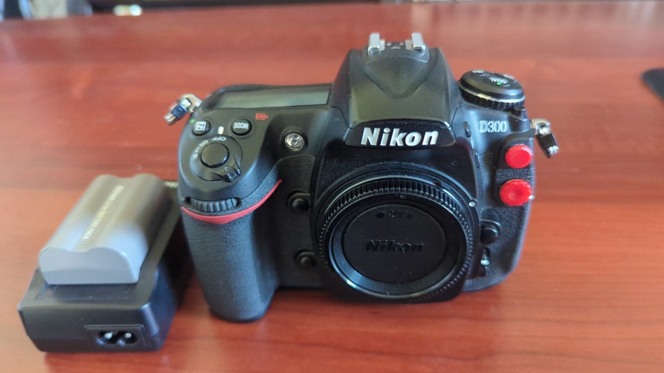 Nikon D300, 12 megapixels, God