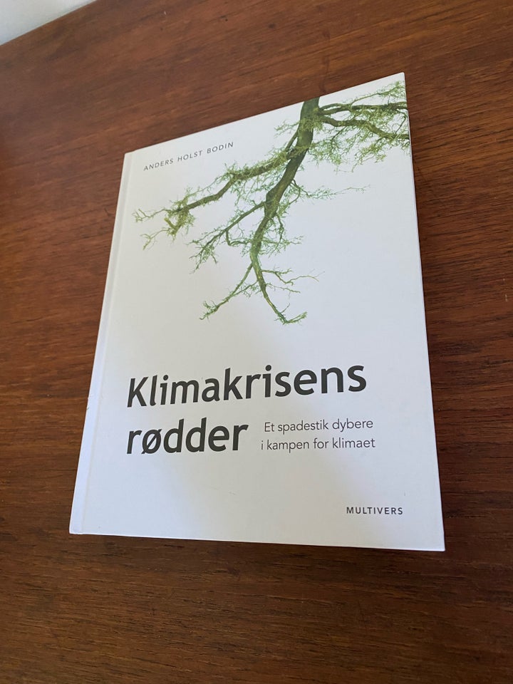 Klimakrisens rødder, Anders Holst