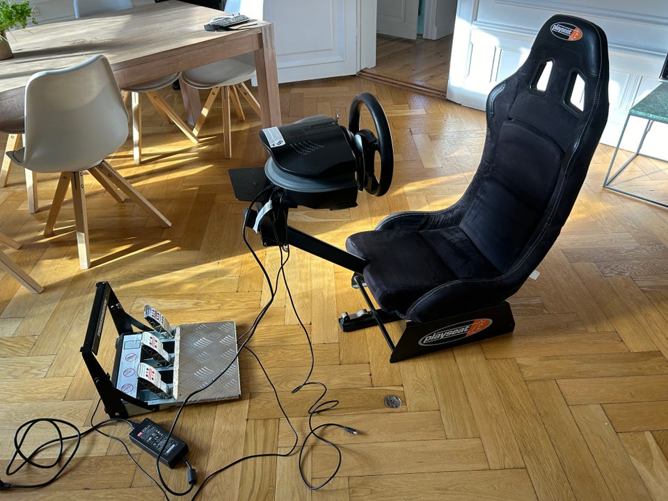 Thrustmaster T500 RS - Rat...