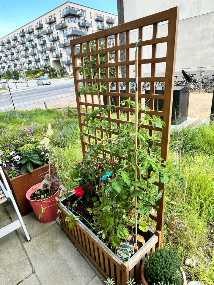 Plantekasser med espalier