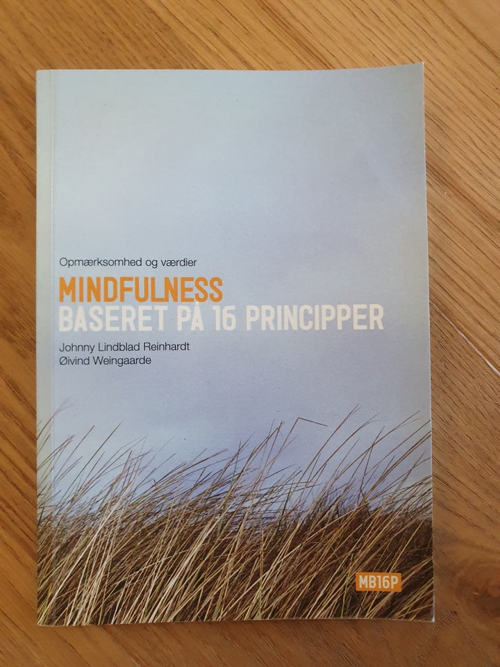 Mindfulness baseret på 16