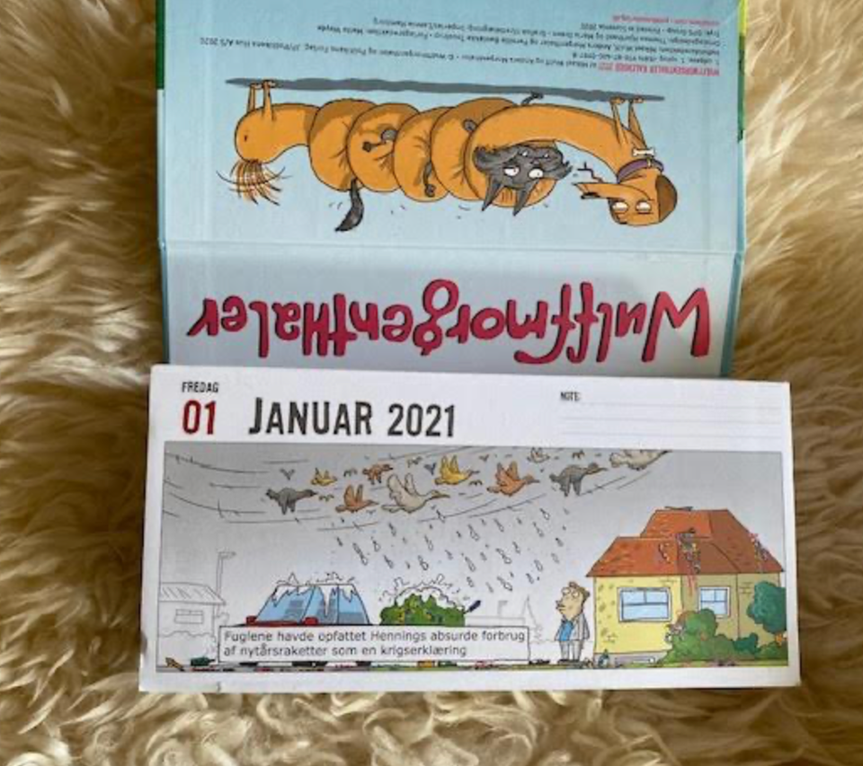 Wulffmorgenthaler kalender 2021,