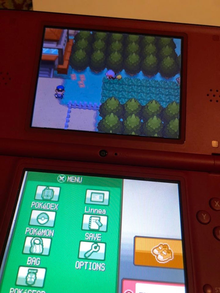 Pokemon Heartgold + Pokewalker