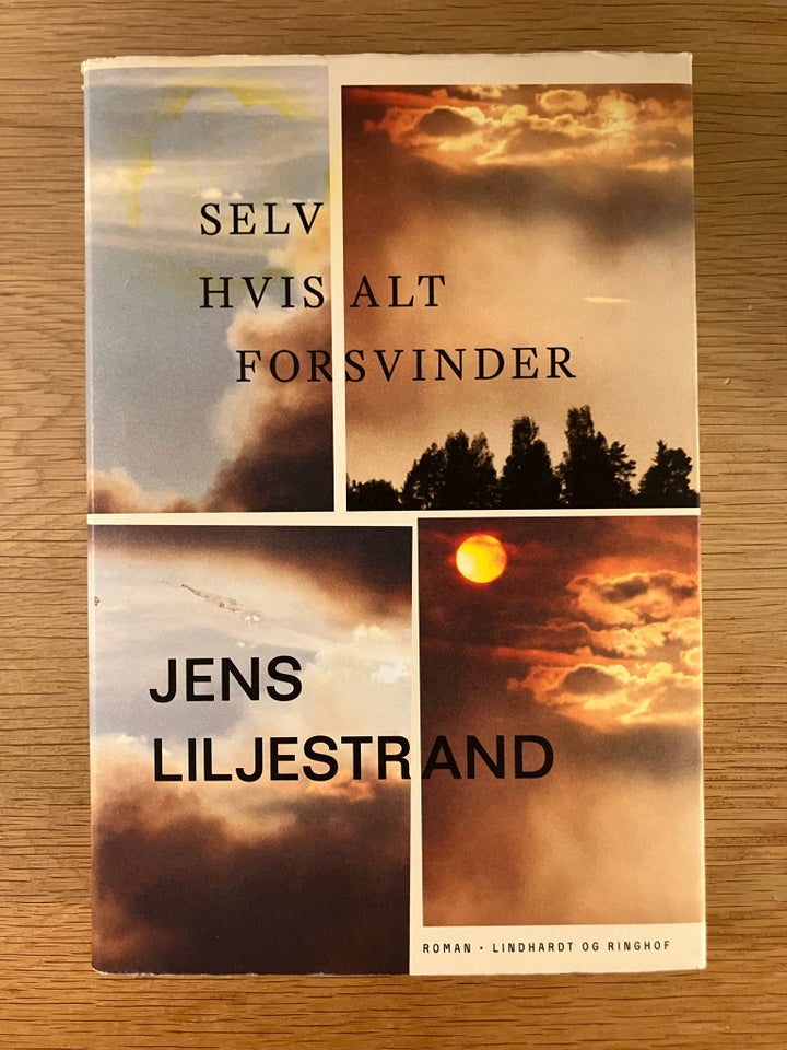 SELV HVIS ALT FORSVINDER, Jens