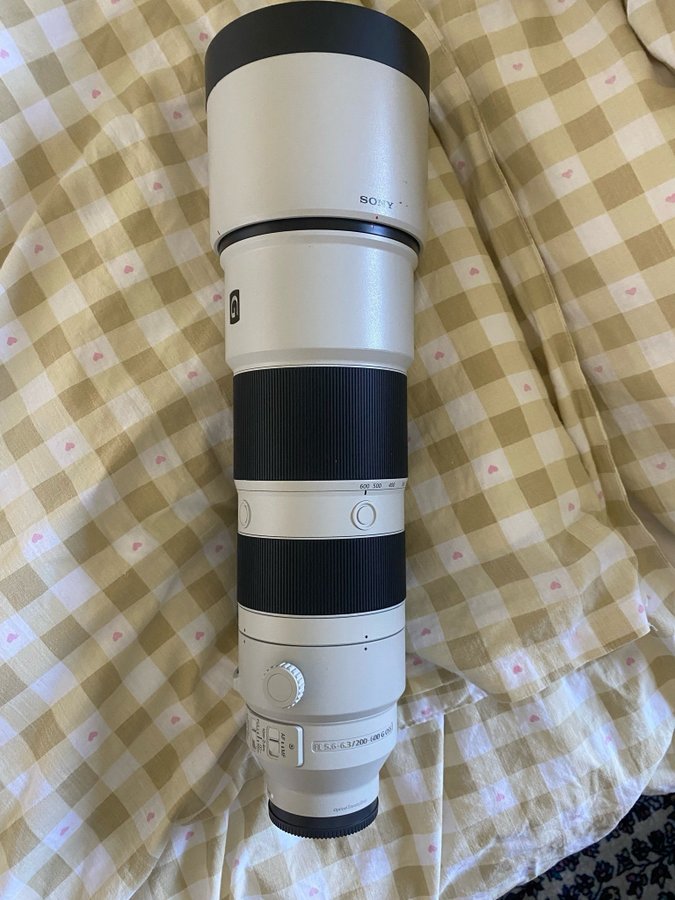 Sony 200-600mm G OSS