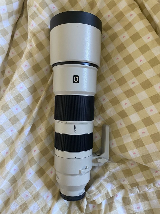 Sony 200-600mm G OSS