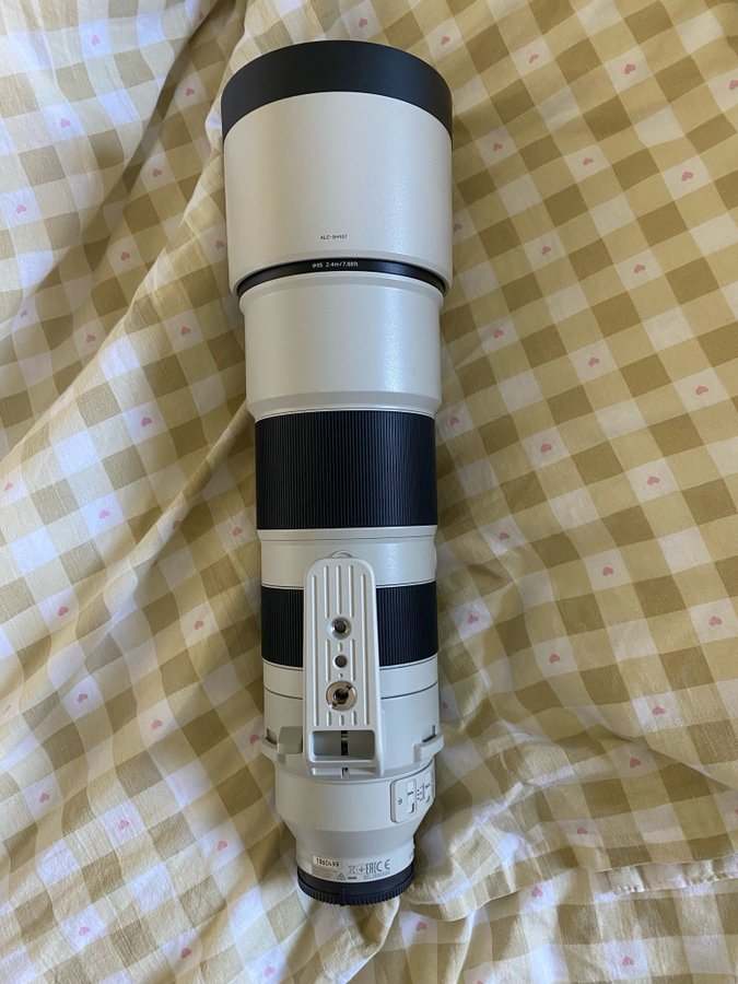 Sony 200-600mm G OSS