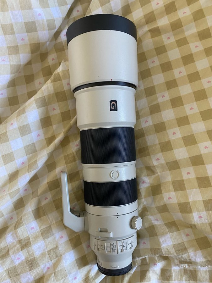 Sony 200-600mm G OSS