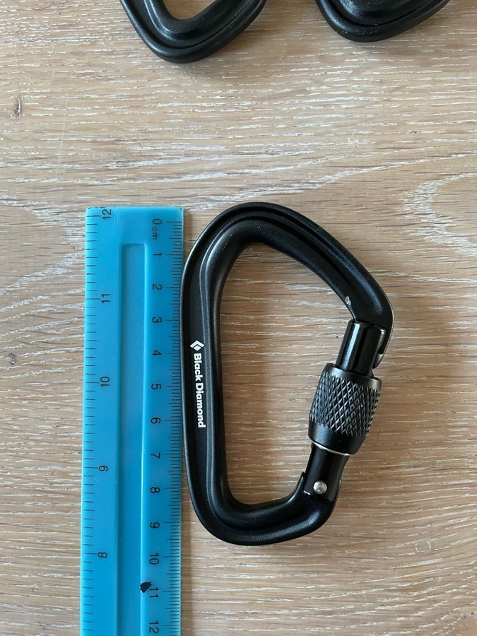 6 st Black Diamond LiteForge Screwgate Carabiner