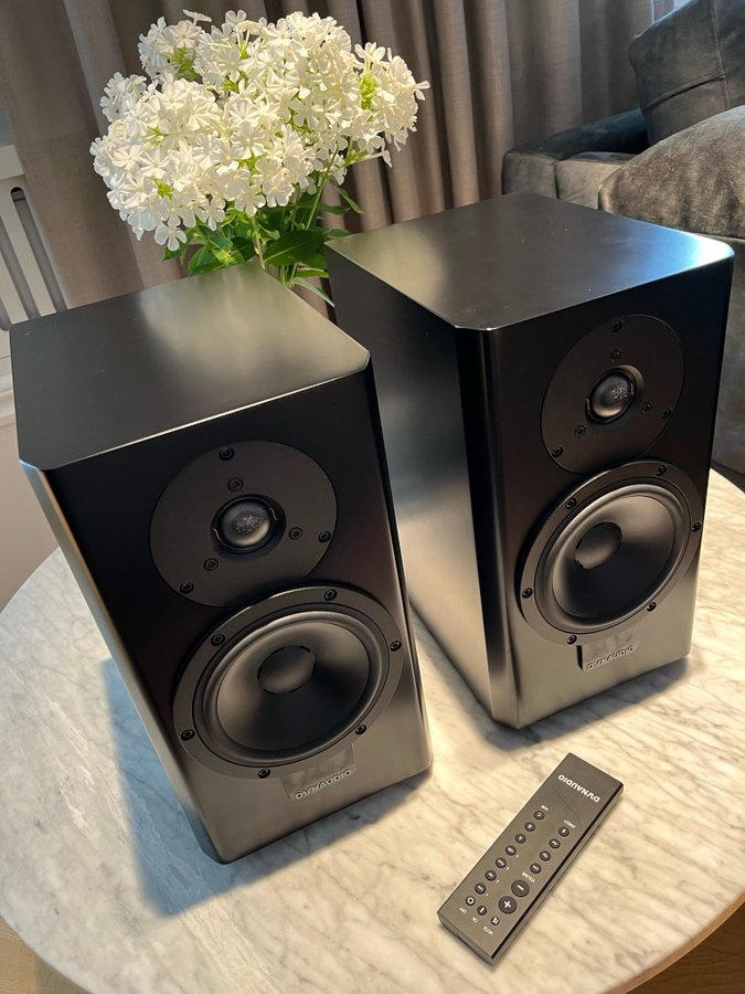 Dynaudio Xeo 20