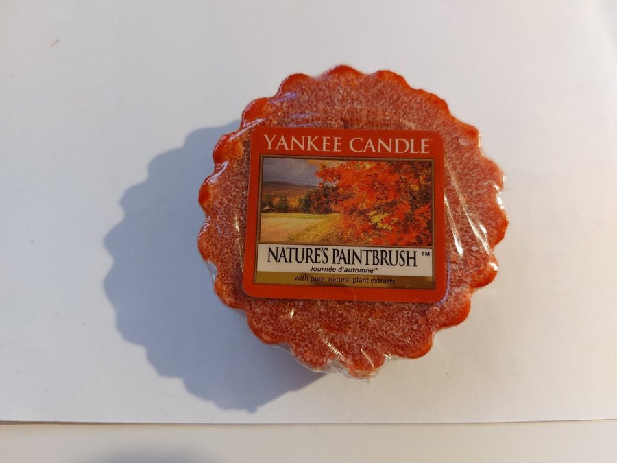 Yankee Candle vaxkaka Nature´s Paintbrush - ny