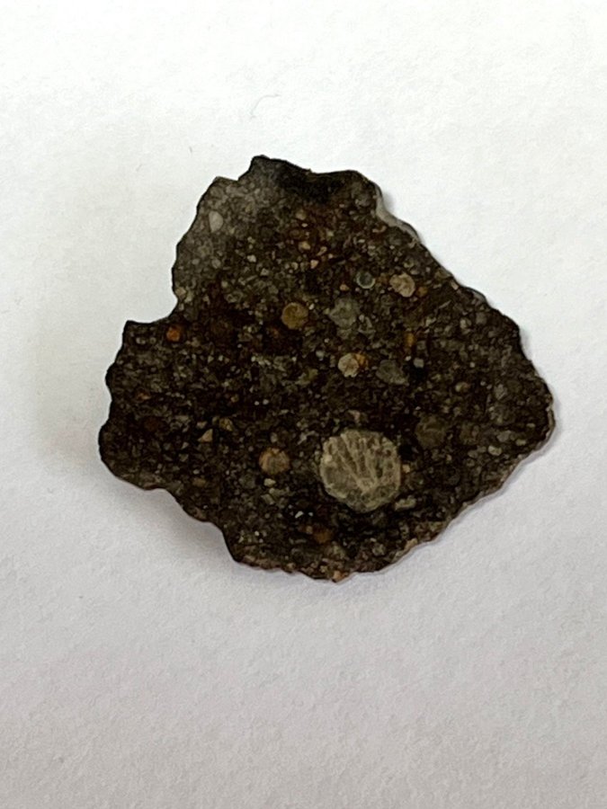 Vacker stenmeteorit - Northwest Africa 15729 - Kondrit LL3 - Ändskärning - 6.5g