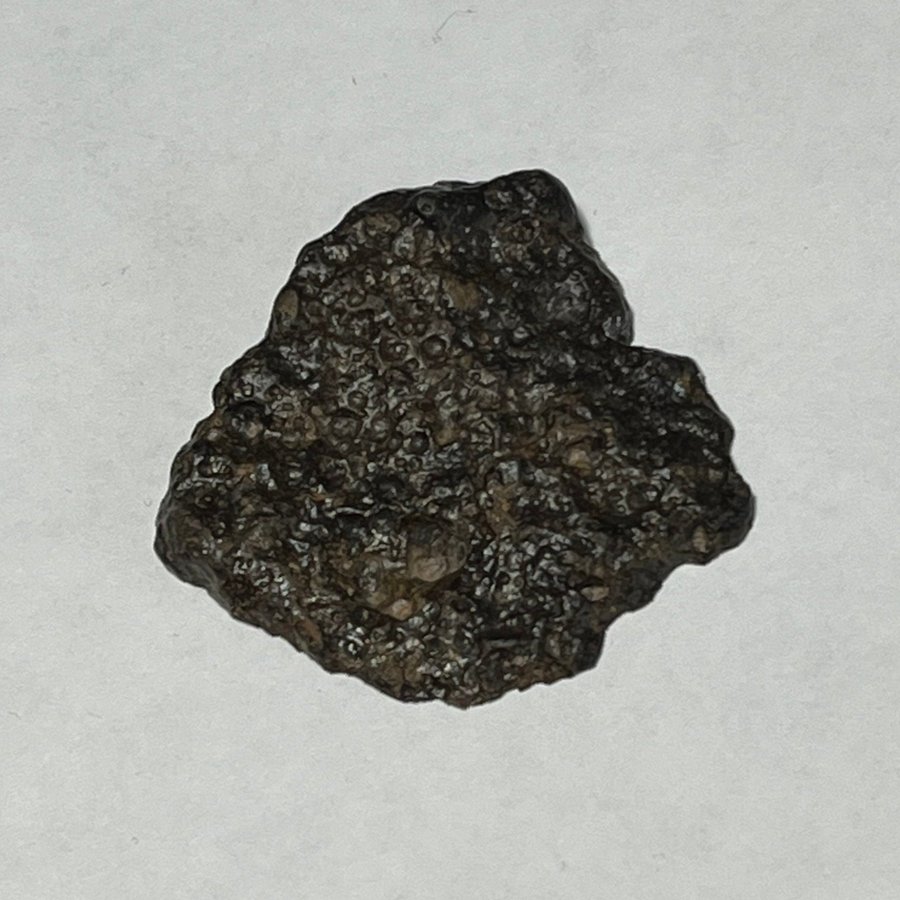 Vacker stenmeteorit - Northwest Africa 15729 - Kondrit LL3 - Ändskärning - 6.5g