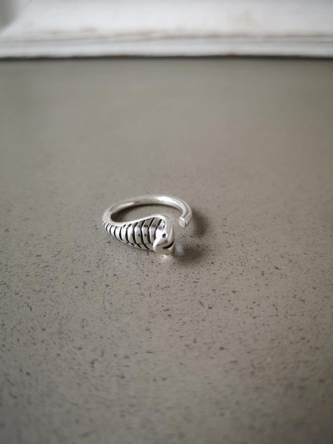 Snygg Silver ring pläterad trendig