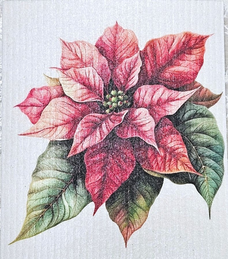 Disktrasa wettex duk med tryck Poinsettia blomma Christmas Julstjärna