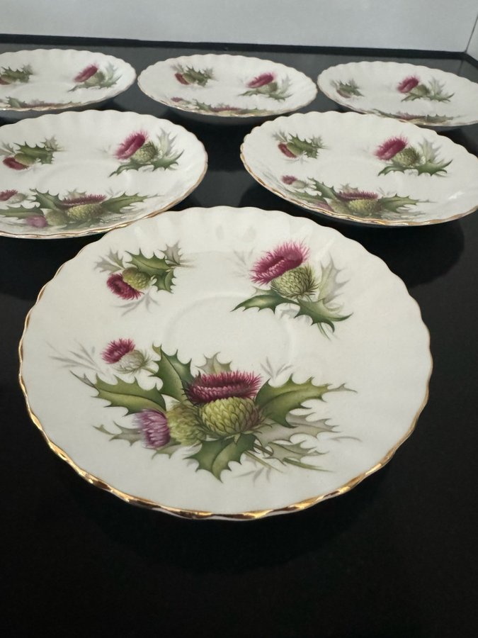 ”Highland Thistle” Royal Albert Bone China 6st kaffekoppar med fat