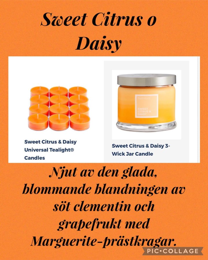 PartyLite 3-veks glasljus - Sweet Citrus  Daisy