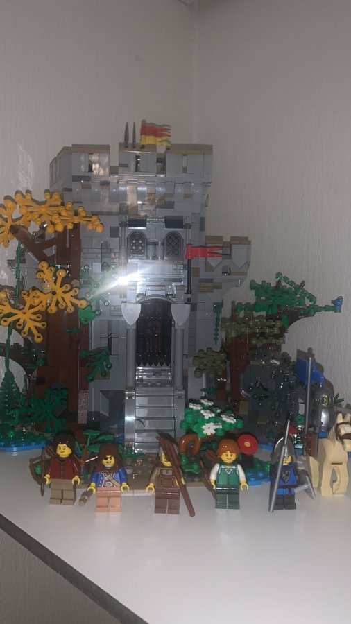 Lego castle in the forest 910001