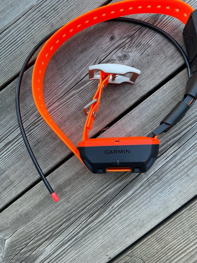 Garmin Alpha t20 halsband