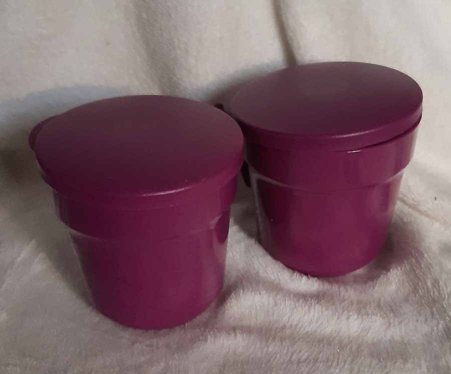 Tupperware koppar med lock 350ml(2)