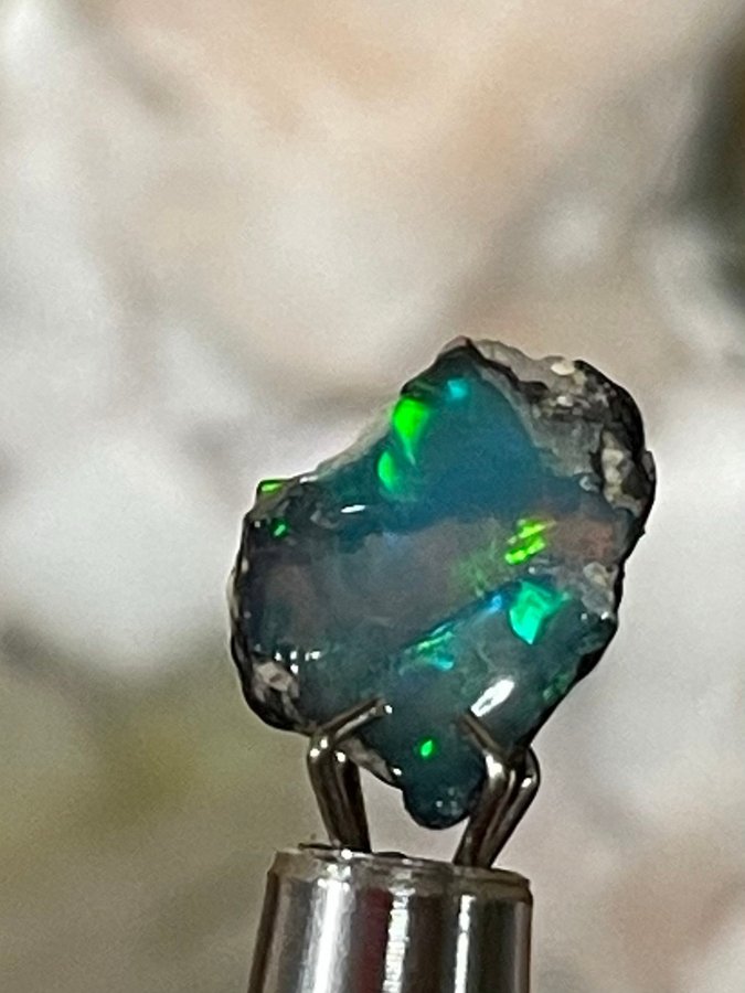 Ca 1,65 carat ETIOPISK ÄKTA OPAL STARKT FÄRGSPEL DE FLESTA MÖJLIGA FÄRGERNA!