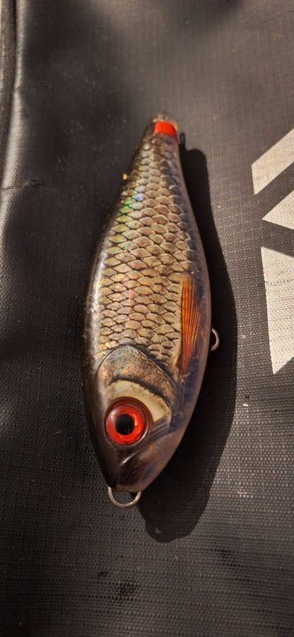 Rapala X-RAP HAKU