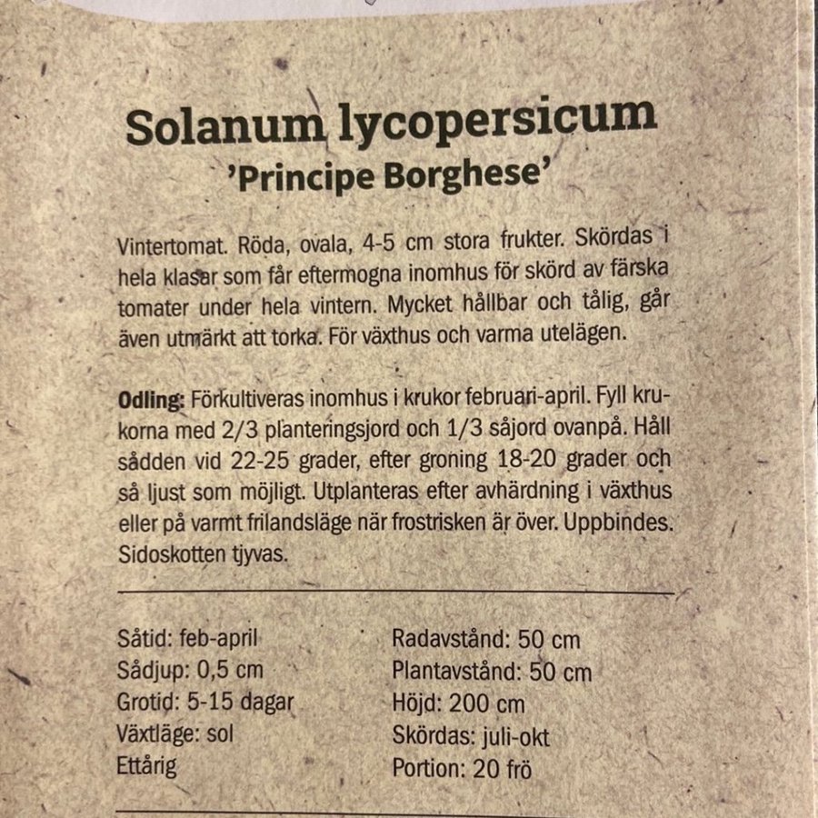 20: Tomatfrön 8 st - Principe Borghese - röd - plommontomat - 200 cm hög -