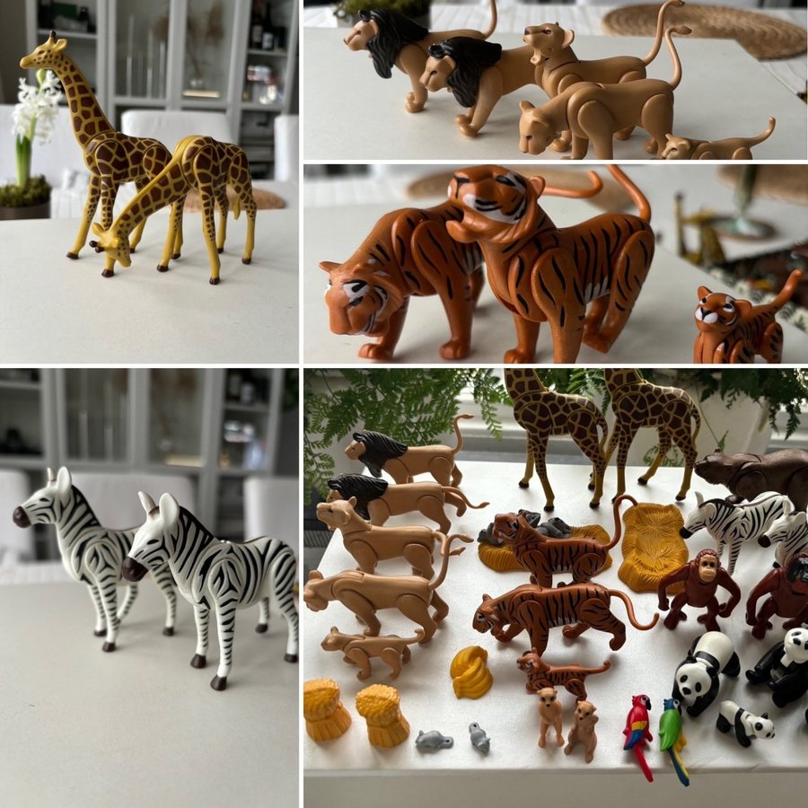 Playmobil Djur - Lejon, Tiger, Giraff, Zebra, Panda m.m.