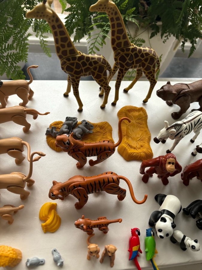 Playmobil Djur - Lejon, Tiger, Giraff, Zebra, Panda m.m.