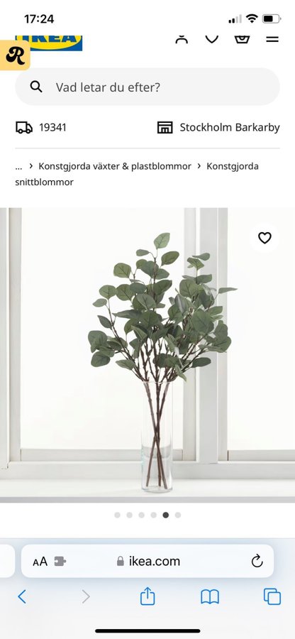 Konstgjord Eucalyptus , IKEA