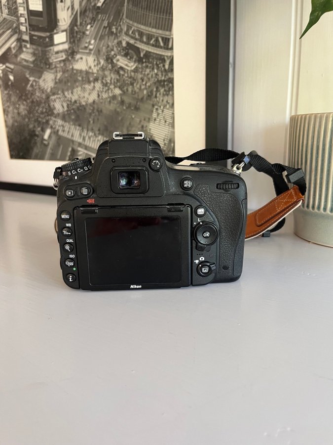 Nikon D5600