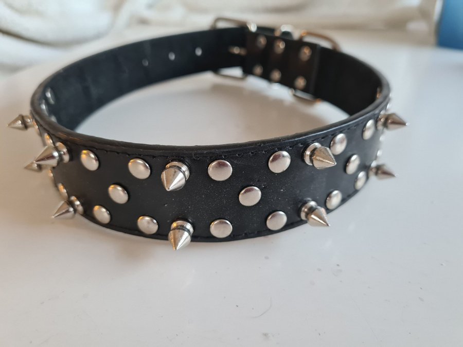 Hund halsband med nitar o piggar svart kraftigt helt NYTT!