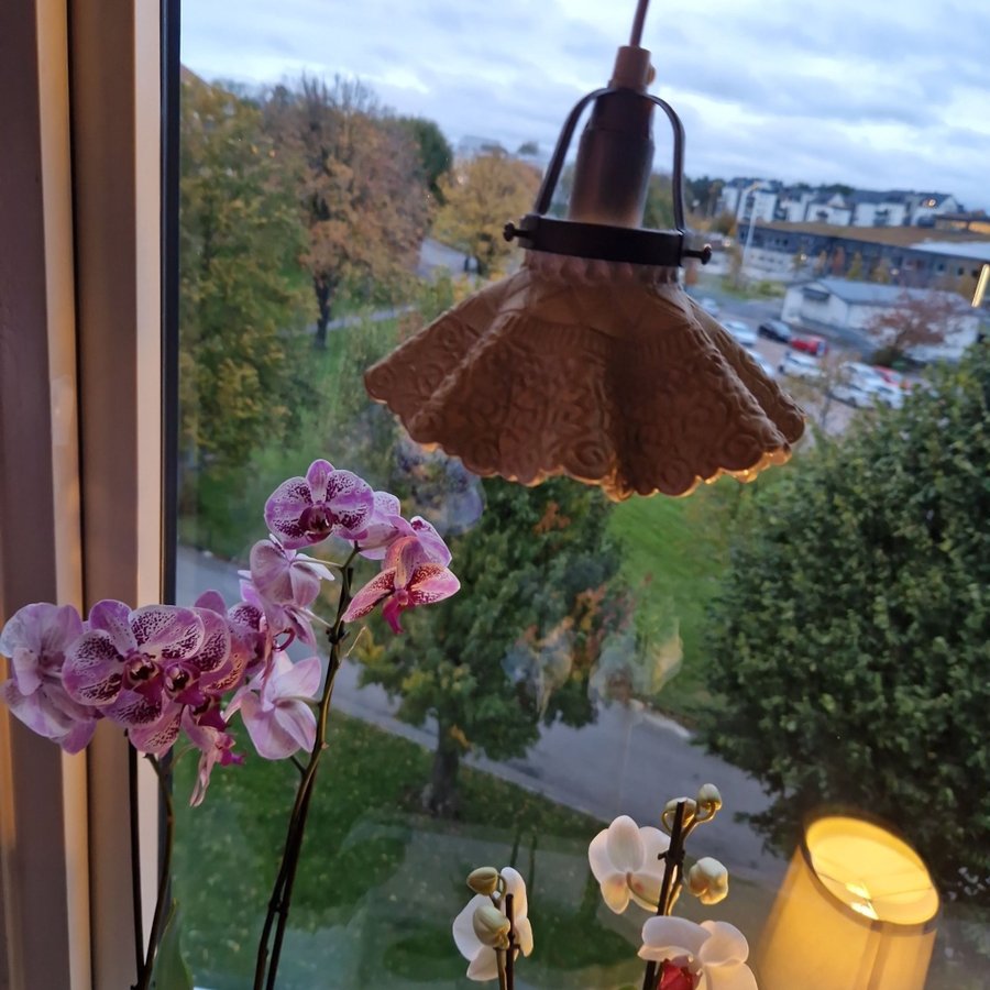 Fönster lampa"Skomakare lampa"