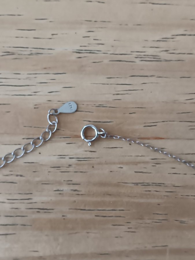 Äkta silver halsband I äkta sterling silver 925 med ett äkta karneol hänge.