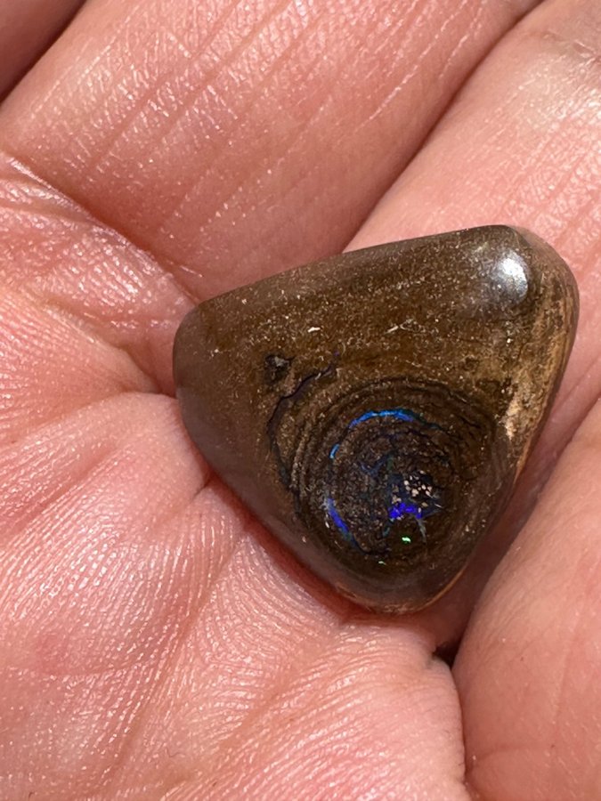 Boulder Opal fr Australien - Cabslipad 19,05ct