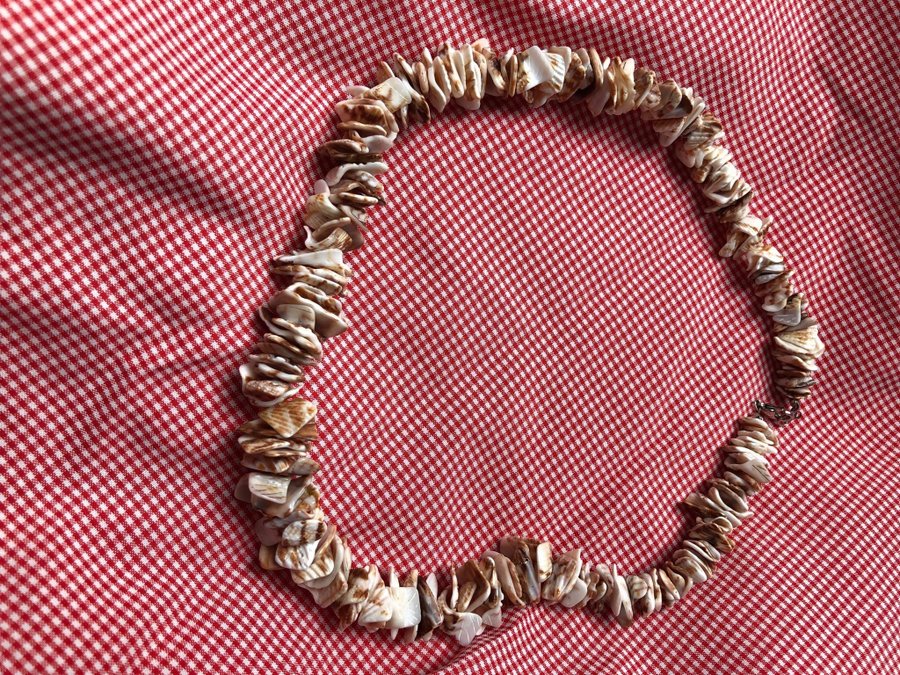 Gorgeous Y2K shell necklace